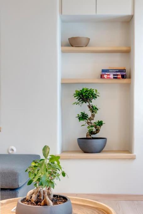 埃尔莫波利斯Nomade Vibrant Living Loft公寓 外观 照片